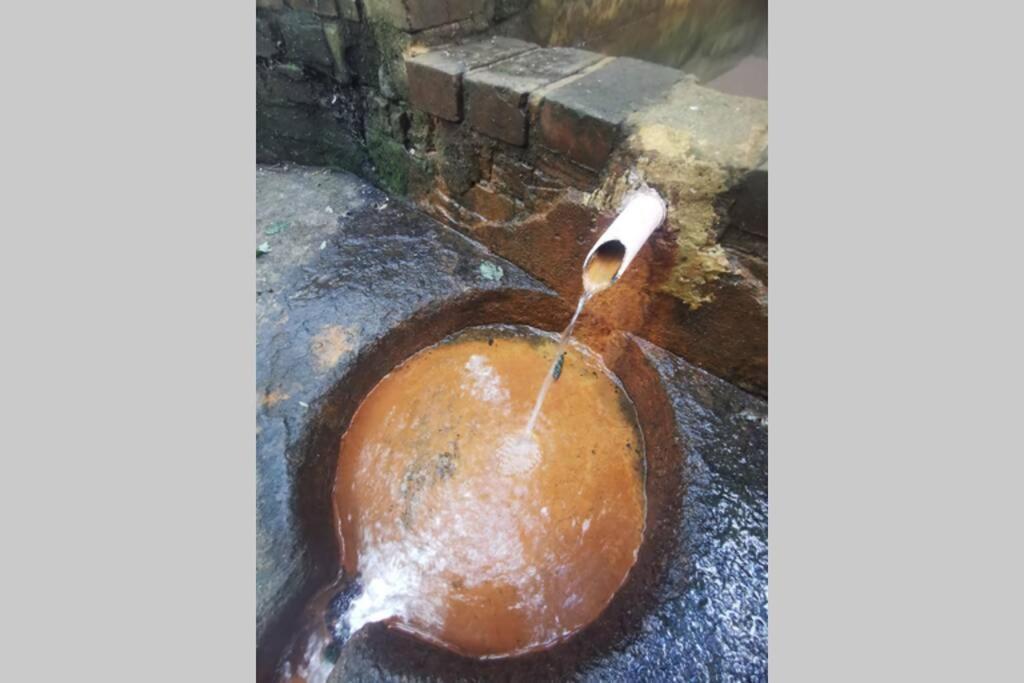 Gite Le Balcon Flaubert Forges-les-Eaux Buitenkant foto